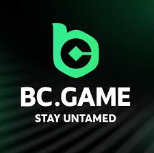 Unlocking Opportunities with BC Partners App -220264264