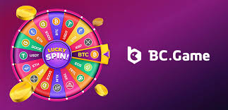Unlocking Opportunities with BC Partners App -220264264