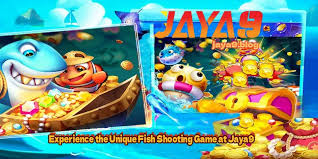 Jaya9 9Wicket Understanding the Basics -1237539873